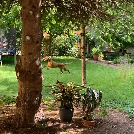 Grosslingova Garden - Old Town Bratislava